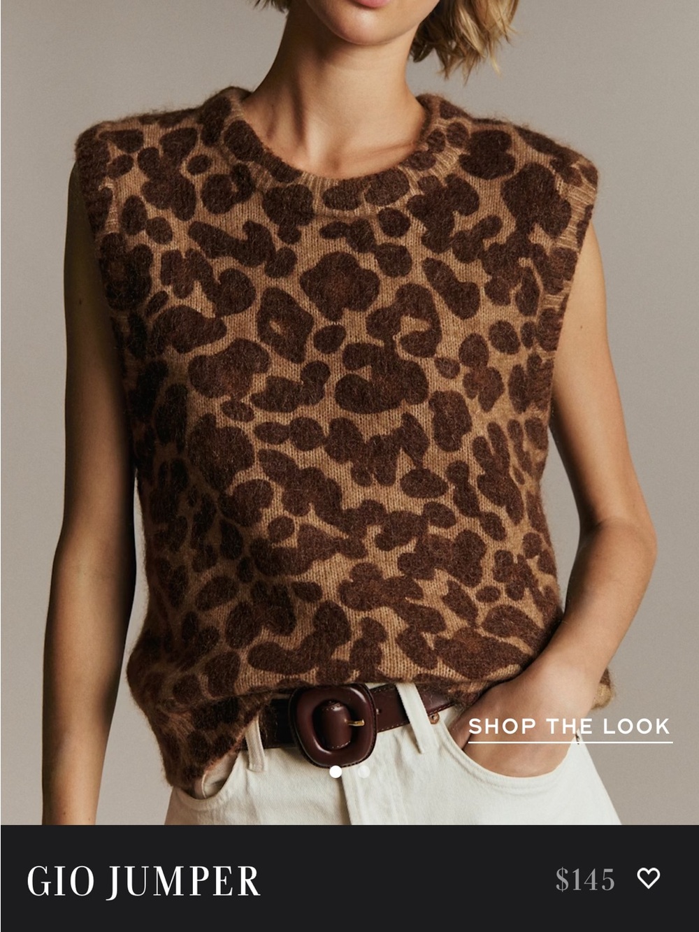 Sezane Gio Leopard Print Sweater Vest -